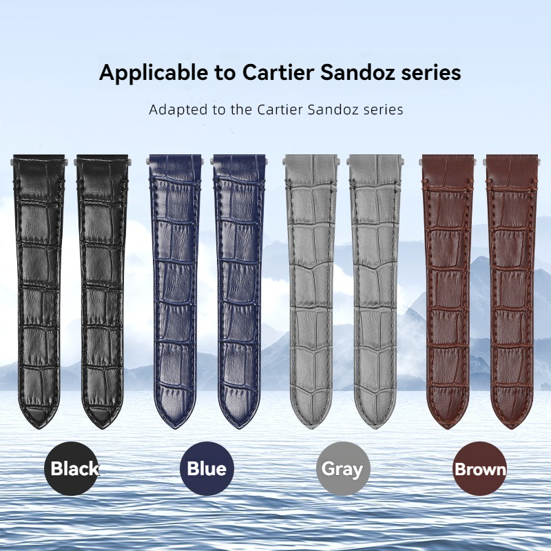까르띠에 산토스 퀵 릴리스 시계 스트랩 새로운 미디엄  - Cartier Watch Santos 리뷰 및 가격