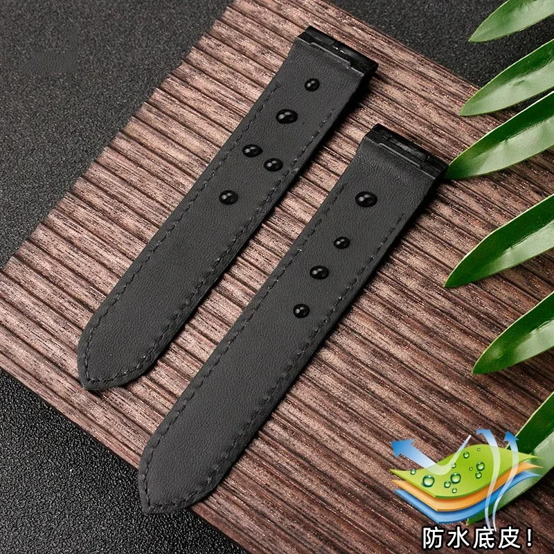 까르띠에 산토스 시계 밴드 산토스 100 남성용 및 여 - Cartier Watch Santos 리뷰 및 가격
