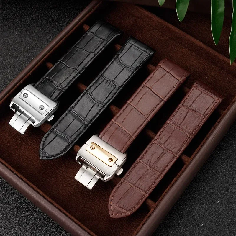까르띠에 산토스 시계 밴드 산토스 100 남성용 및 여 - Cartier Watch Santos 리뷰 및 가격
